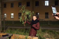 Visit to the Garden on Karpovka 