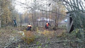 8-я волонтерская экспедиция на о. Кижи 